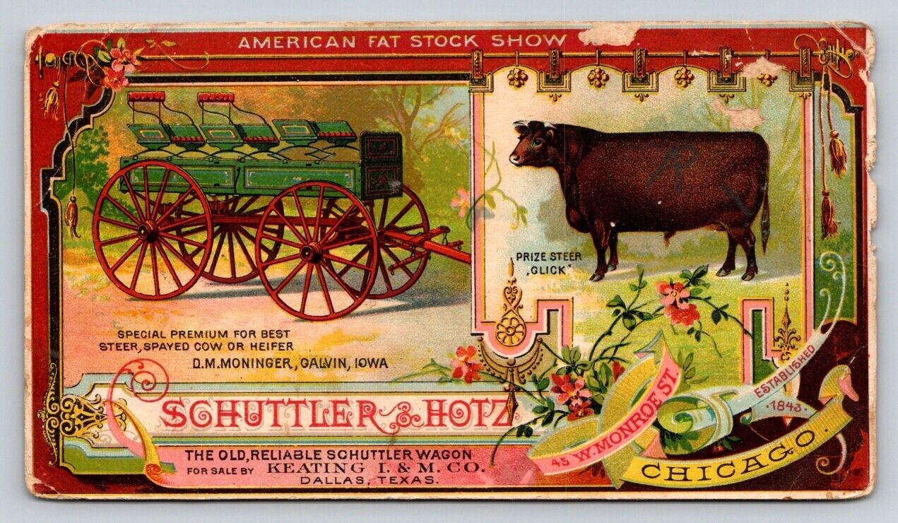American Fat Stock Show Schuttler Steer Wagon Hotz Keating Dallas Texas P102A