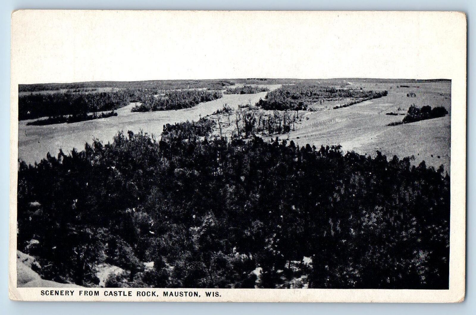 Mauston Wisconsin WI Postcard Scenery From Castle Rock Trees Scenic View c1920's