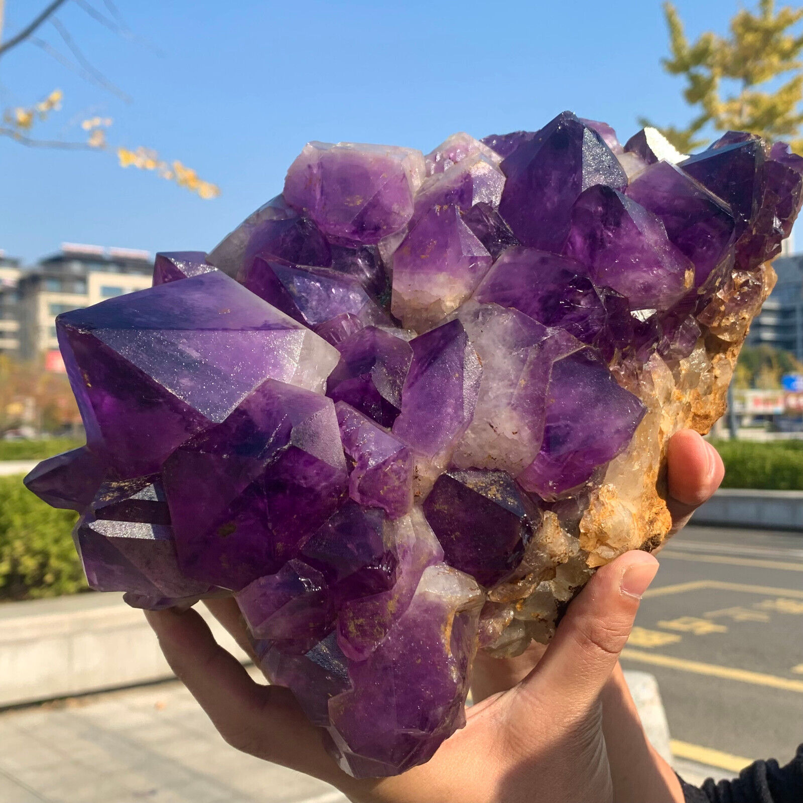 13.64LB Natural purple crystal quartz cluster crystal specimen repair