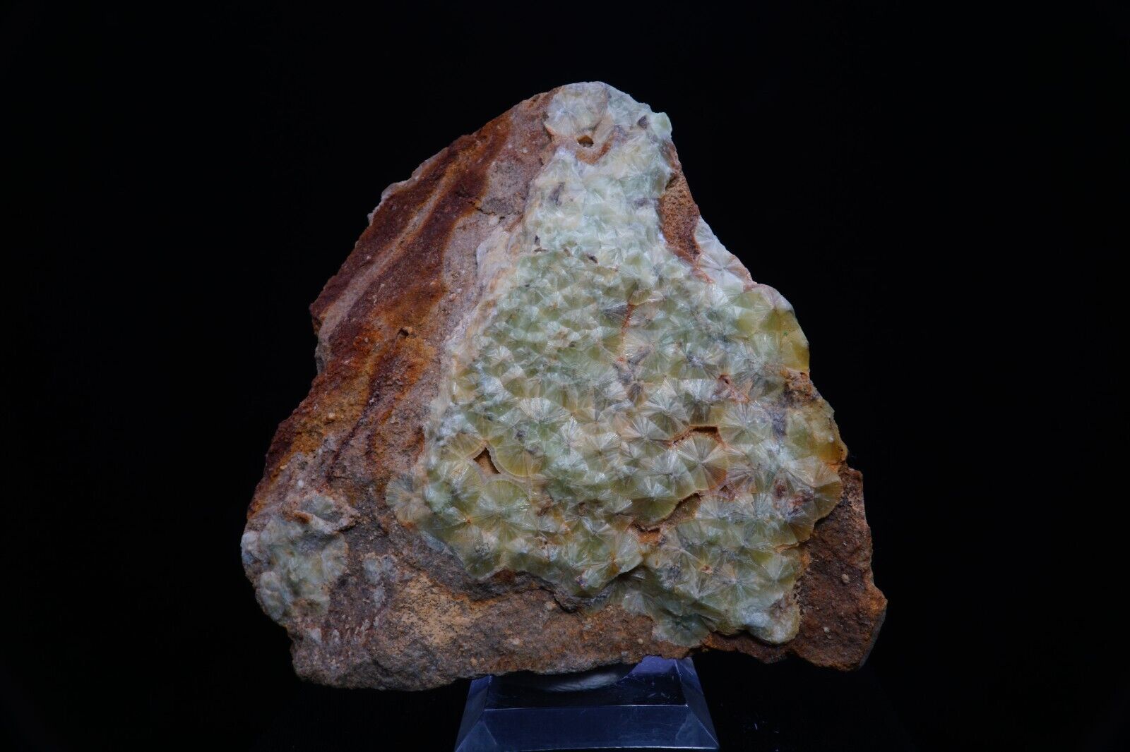 Wavellite / 9cm Rare Cabinet Mineral Specimen / From Lime Ridge, Pennsylvania