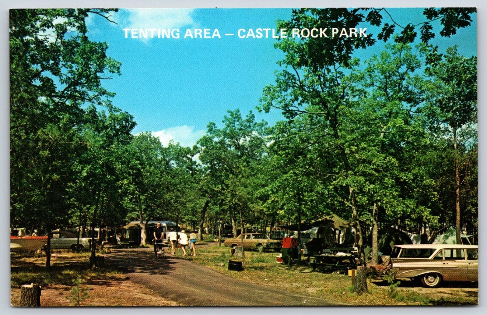 Postcard Tenting Area, Castle Rock Park, Castle Rock Lake Wisconsin Unposted