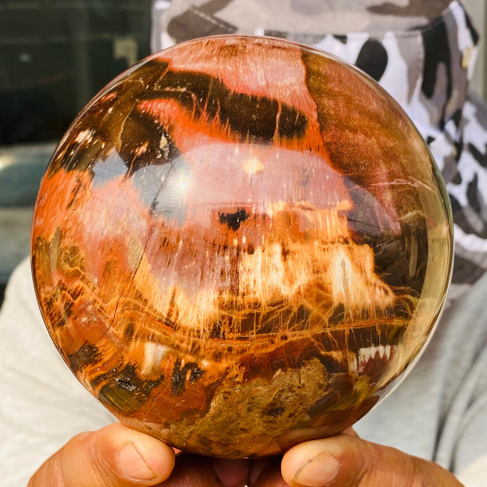 2240g Large Natural Petrified Wood Crystal Fossil Geodes Sphere Specimen