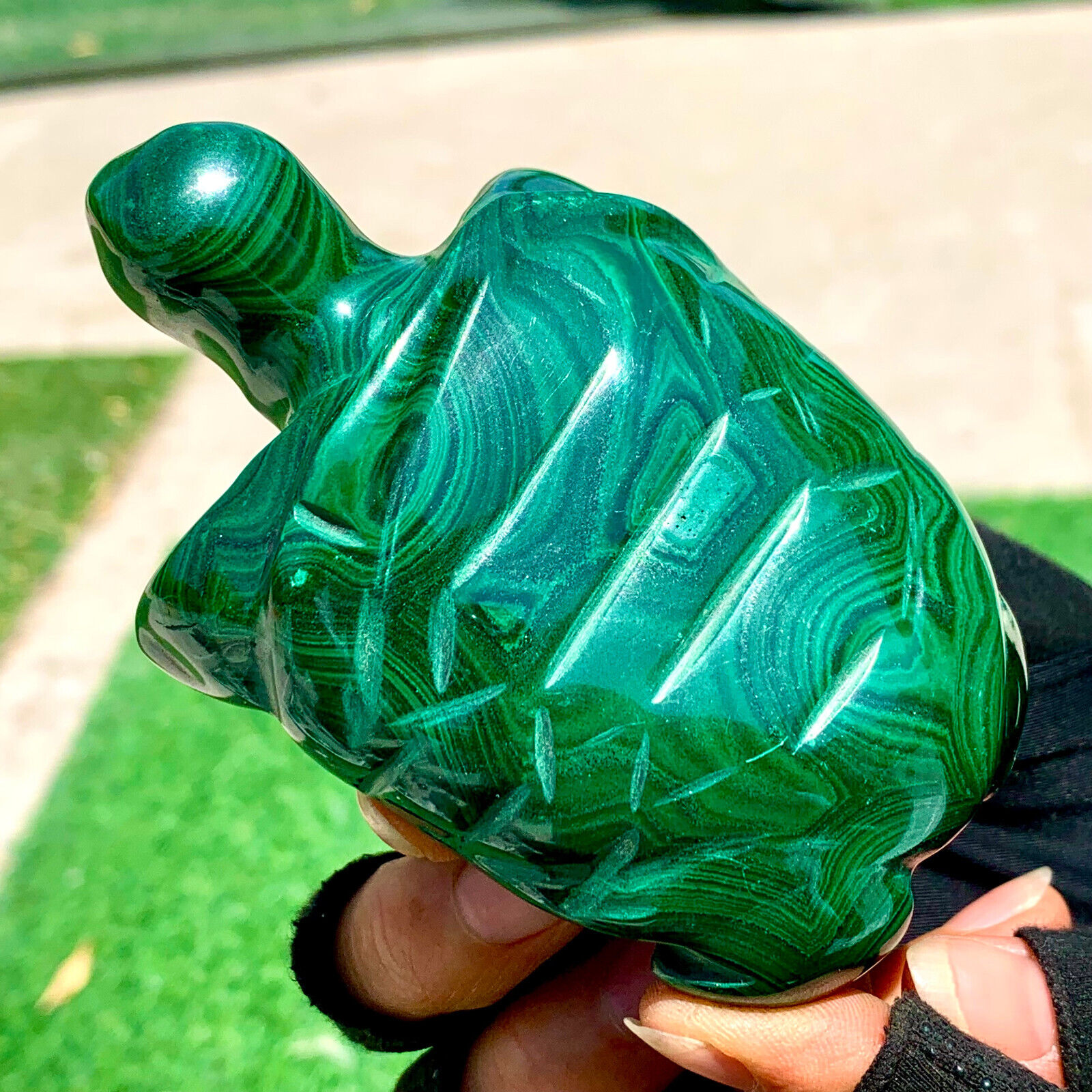 339G Natural glossy Malachite Crystal  Handcarved turtle mineral sample