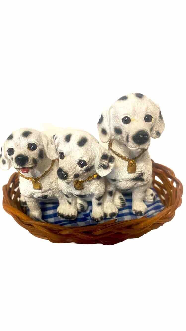 3 Adorable Dalmatian dog Sitting In Their Little Basket Bed , Gorgeous Eyes