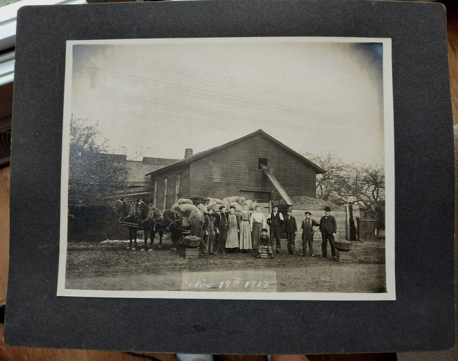 1907 Webster NY Apple Farm Harvest 11 x 14 Photograph / J G Maas Photographer