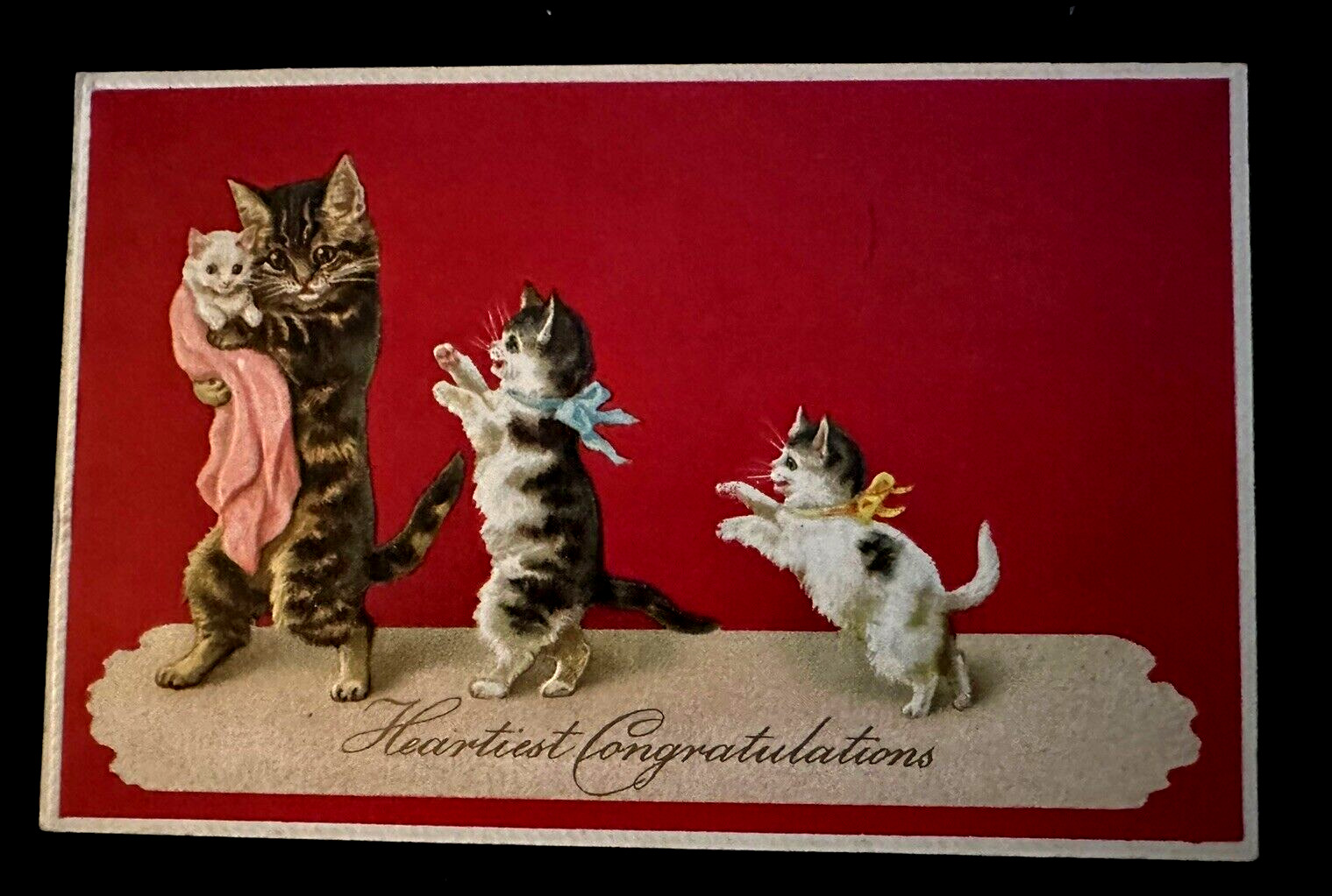 Fantasy~Mama Cat & Baby Cats Kittens Anthropomorphic 1910~Greeting Postcard~k390