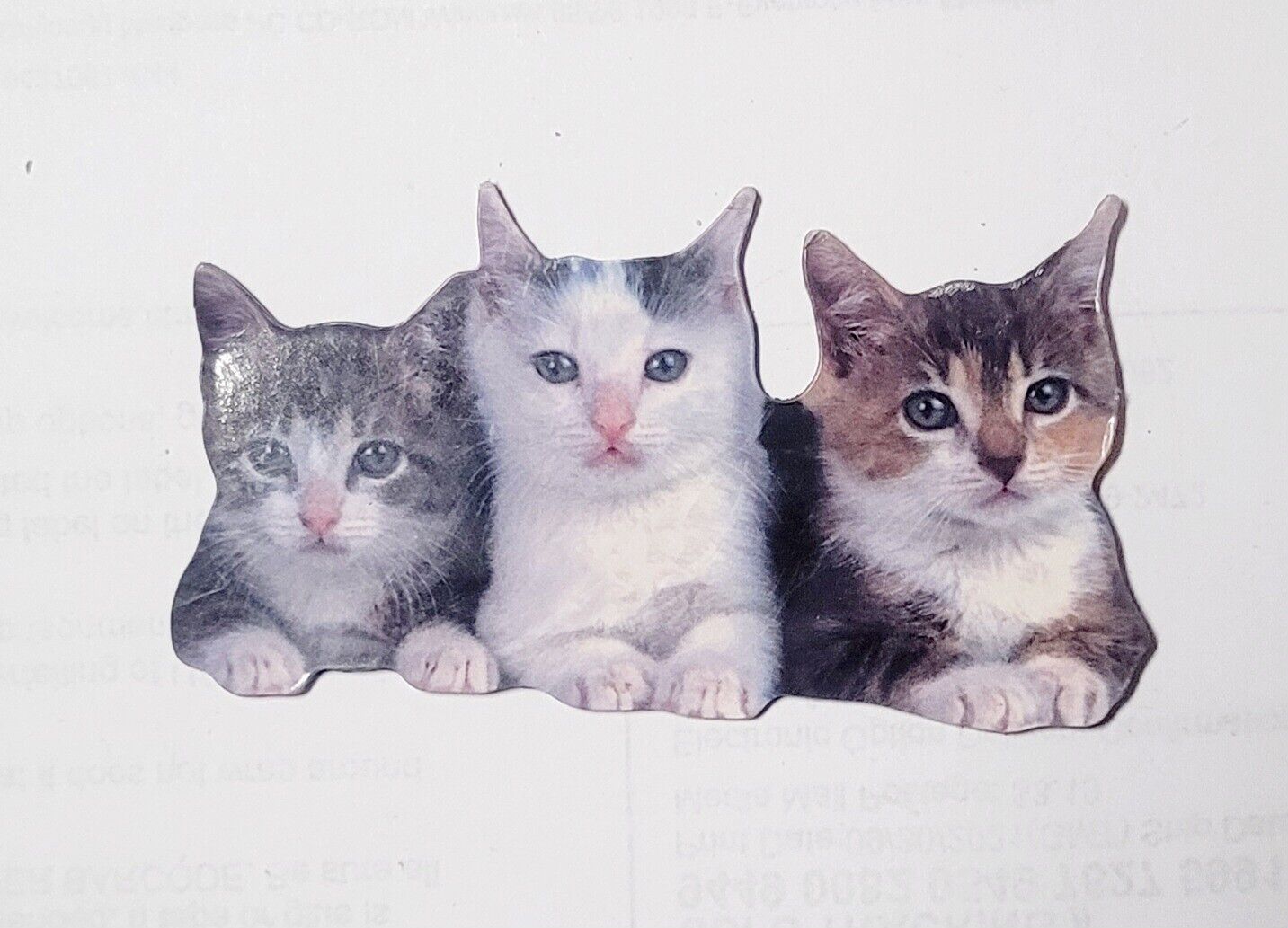 Three Cute Kittens Refrigerator Magnet Photo Novelty 