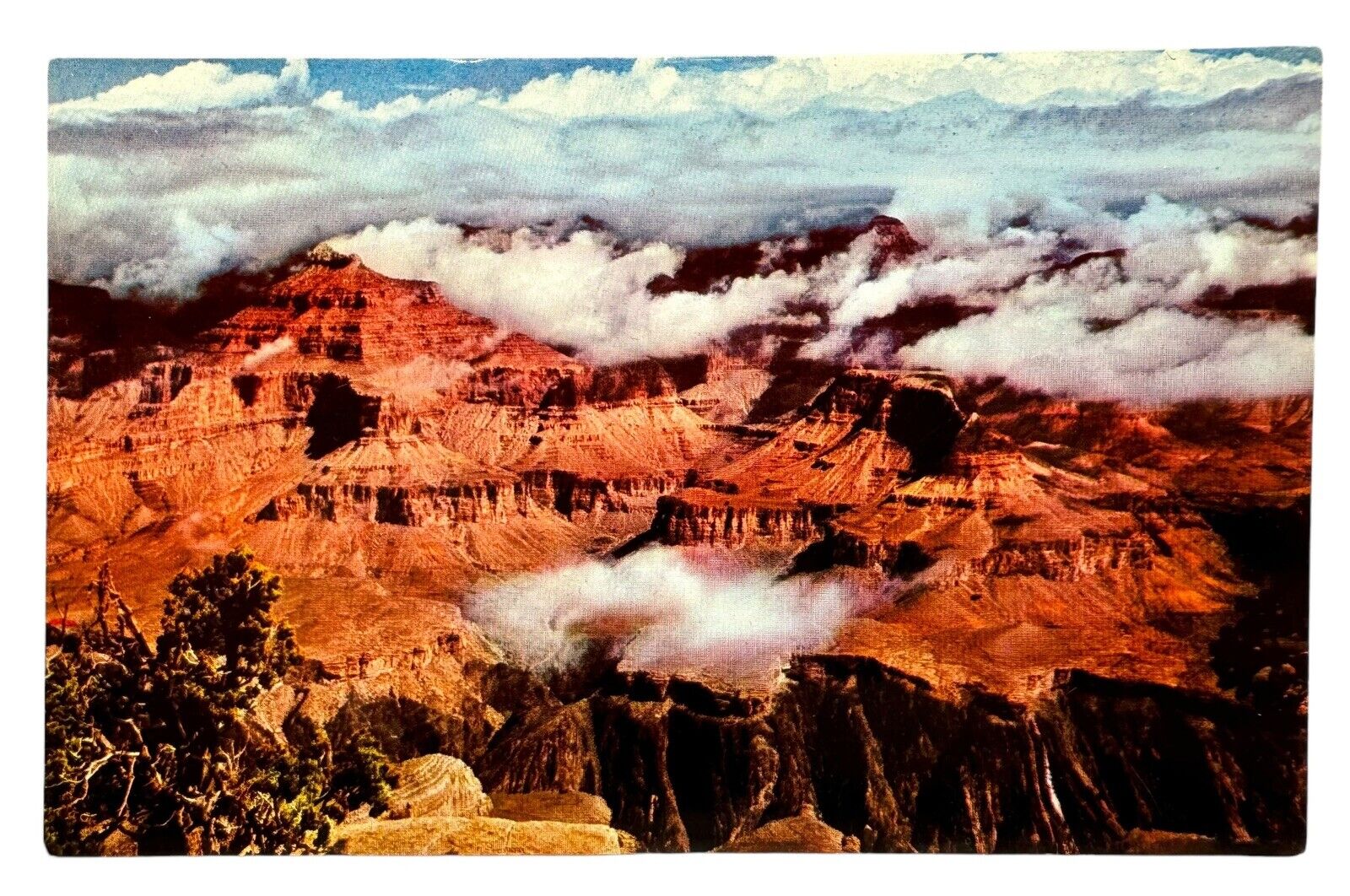 Vintage Postcard Grand Canyon National Park Arizona Fred Harvey USA Unposted