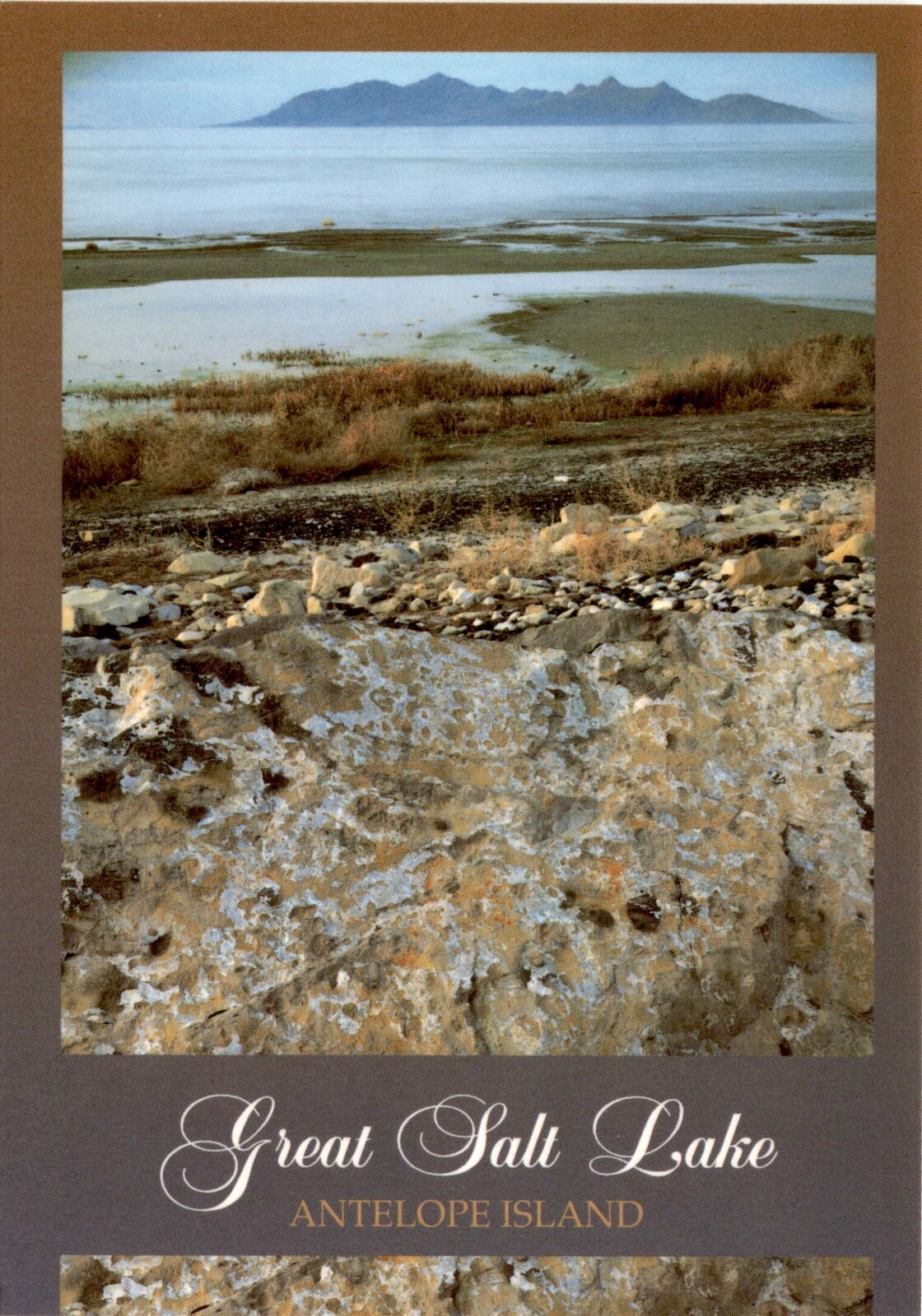 Great Salt Lake, Antelope Island, Utah, Steve Mulligan, Postcard