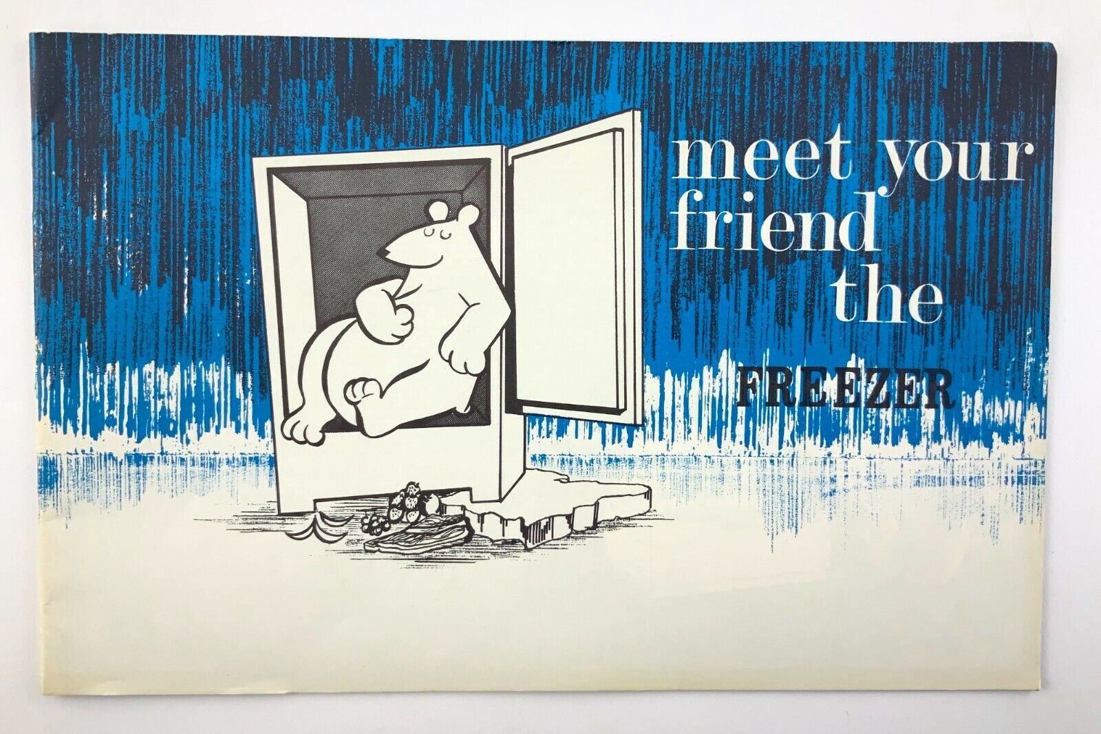 1950s MCM Mid Century Modern Meet Your Friend The Freezer Booklet 500C