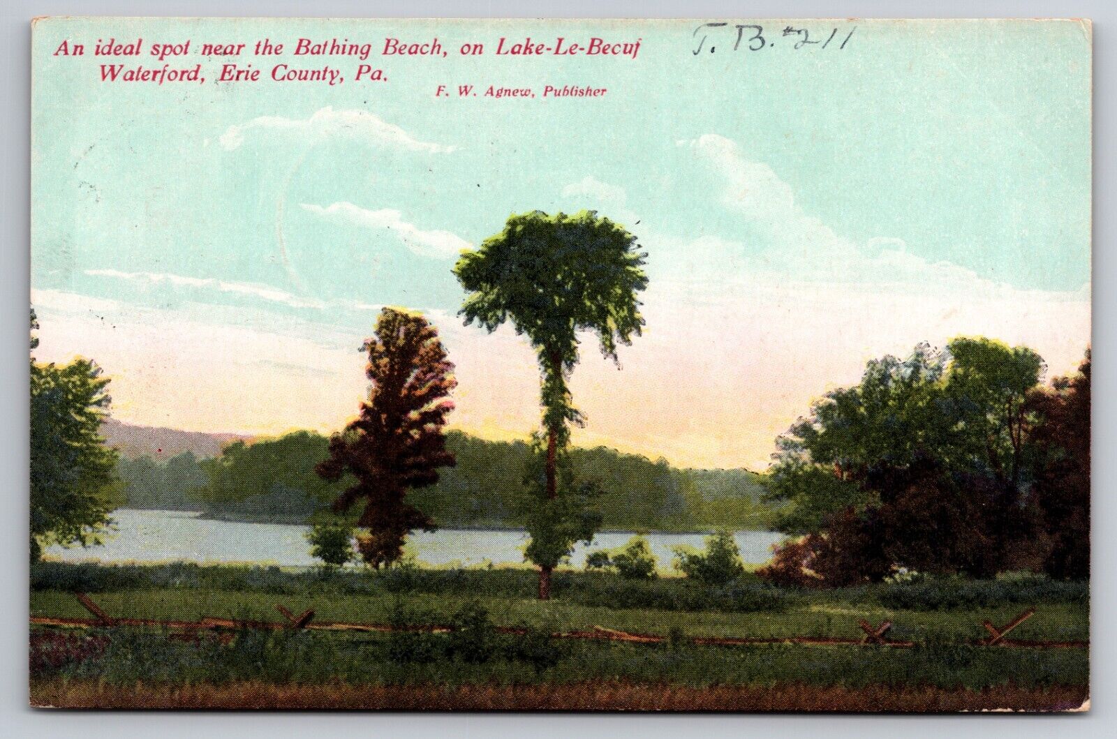 Bathing Beach Lake LeBoeuf Waterford Erie County Pennsylvania 1910 Postcard