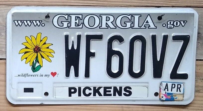 Georgia Wildflower Expired License Plate Auto Tag ~ WF60VZ ~ Embossed