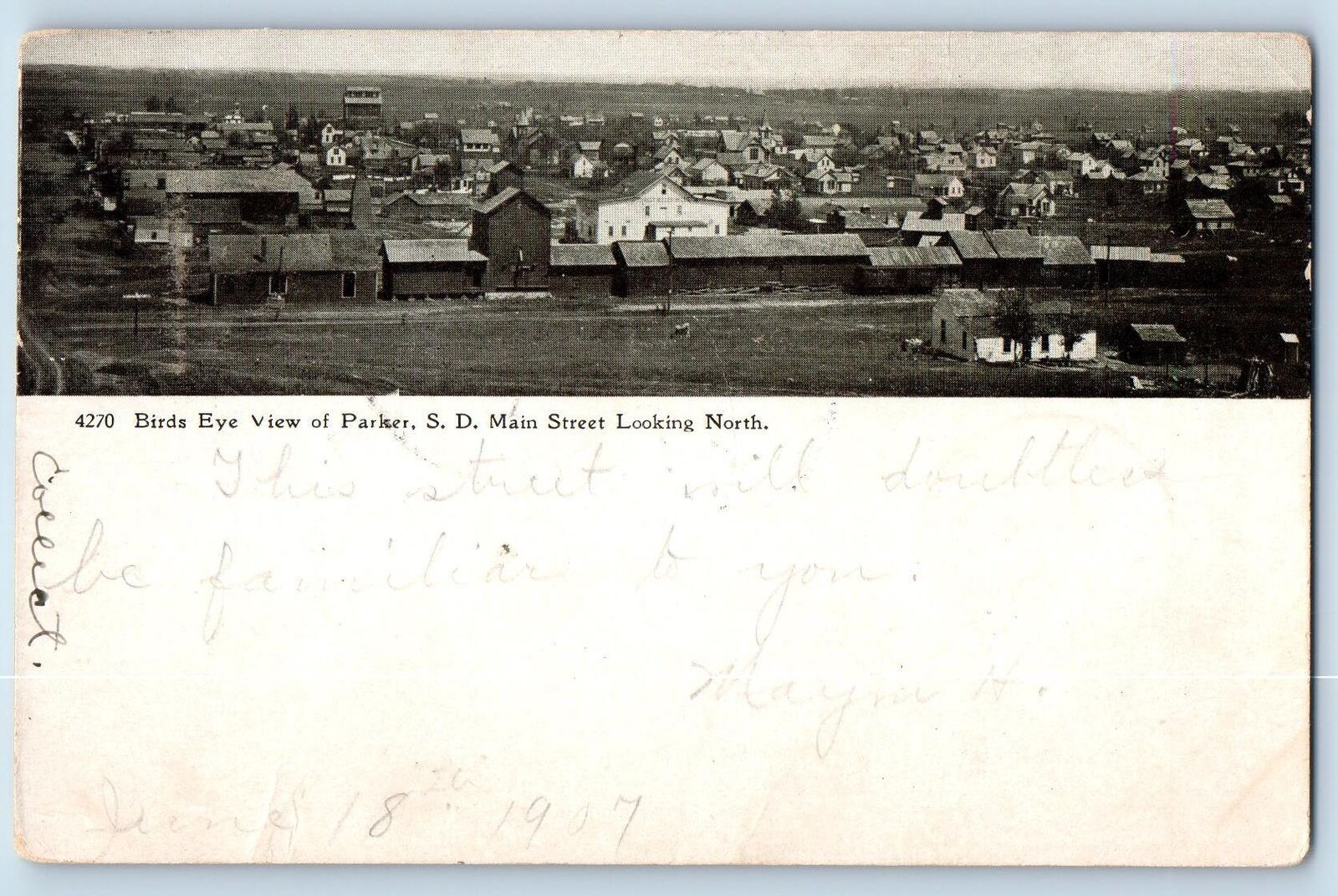 Parker South Dakota SD Postcard Bird\'s Eye View Of Main Street Looking 1907 Tree