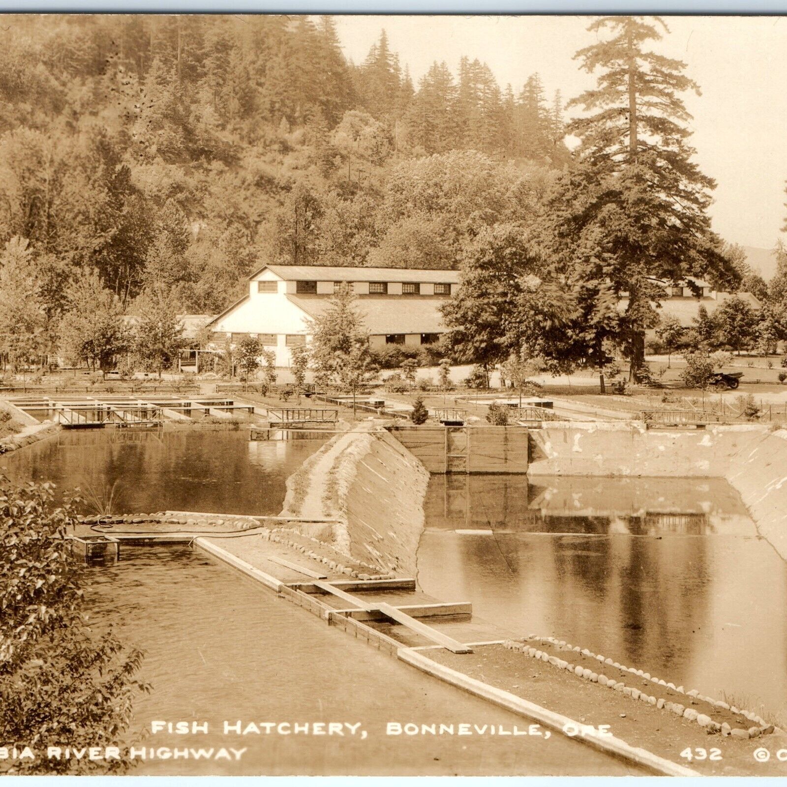 c1930s Bonneville, OR RPPC Fish Hatchery Real Photo Postcard Cross Dimmitt A97