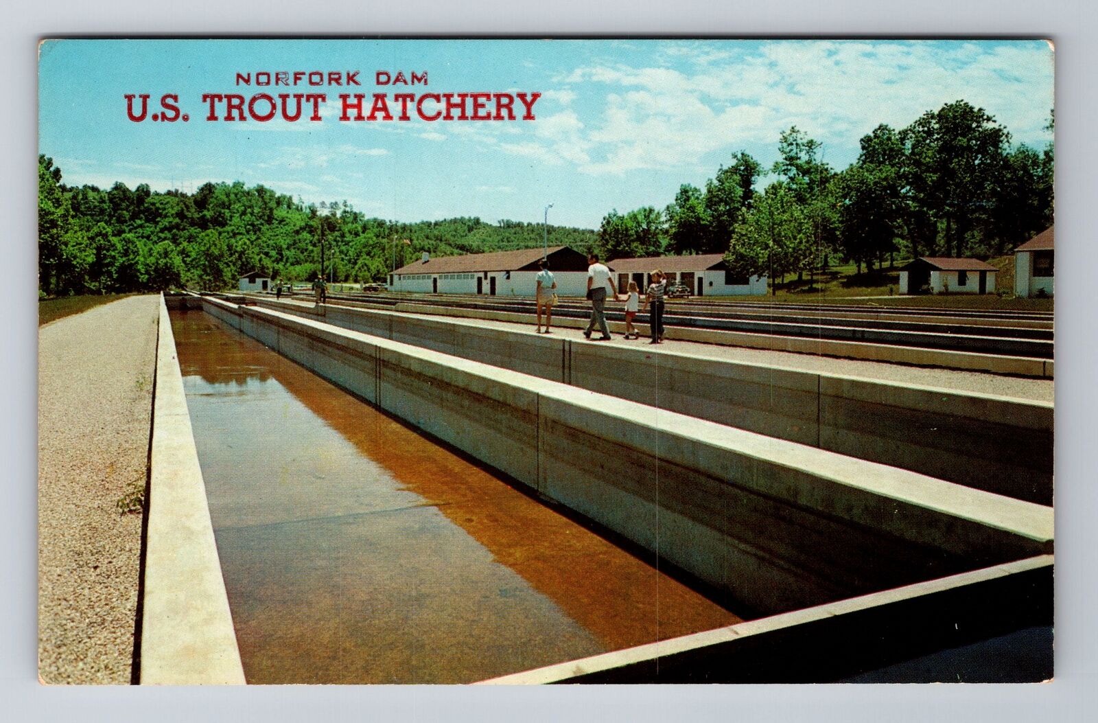 Norfork Dam AR-Arkansas, U.S. Trout Hatchery, Antique Vintage Souvenir Postcard