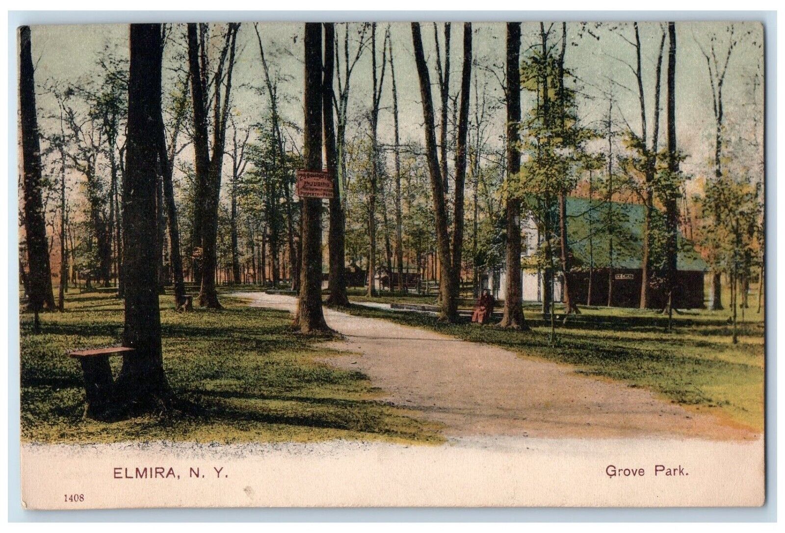 c1905 Grove Park Trees Pathway Shop Elmira New York PCK Vintage Antique Postcard