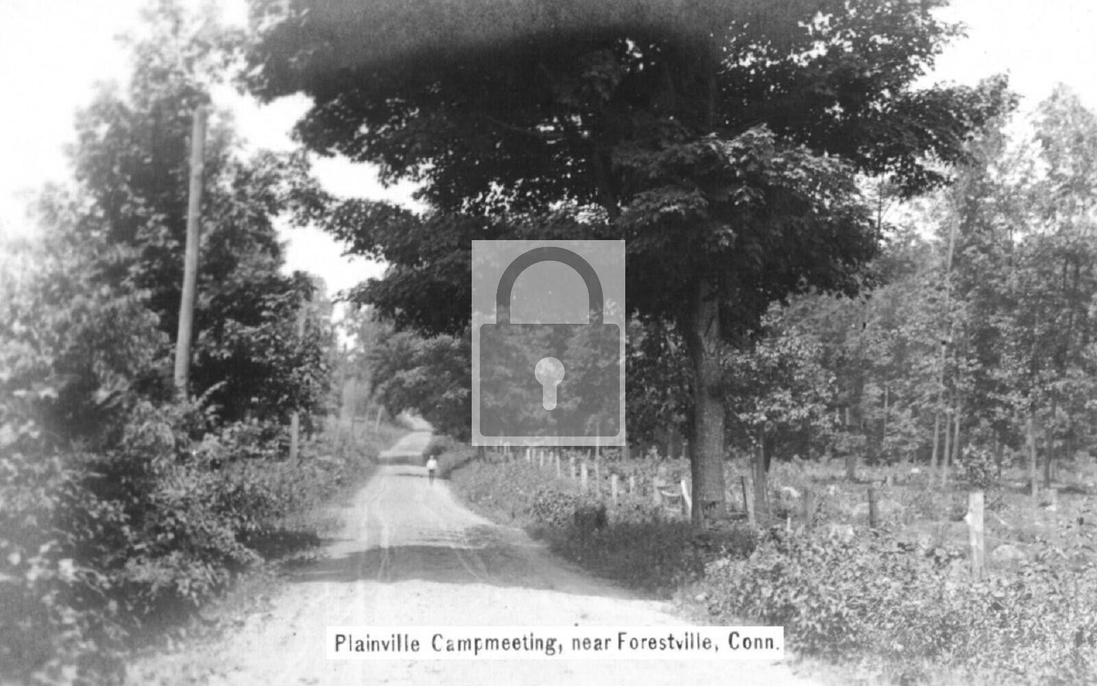 Plainville Campground Forestville Connecticut CT 8x10 Reprint