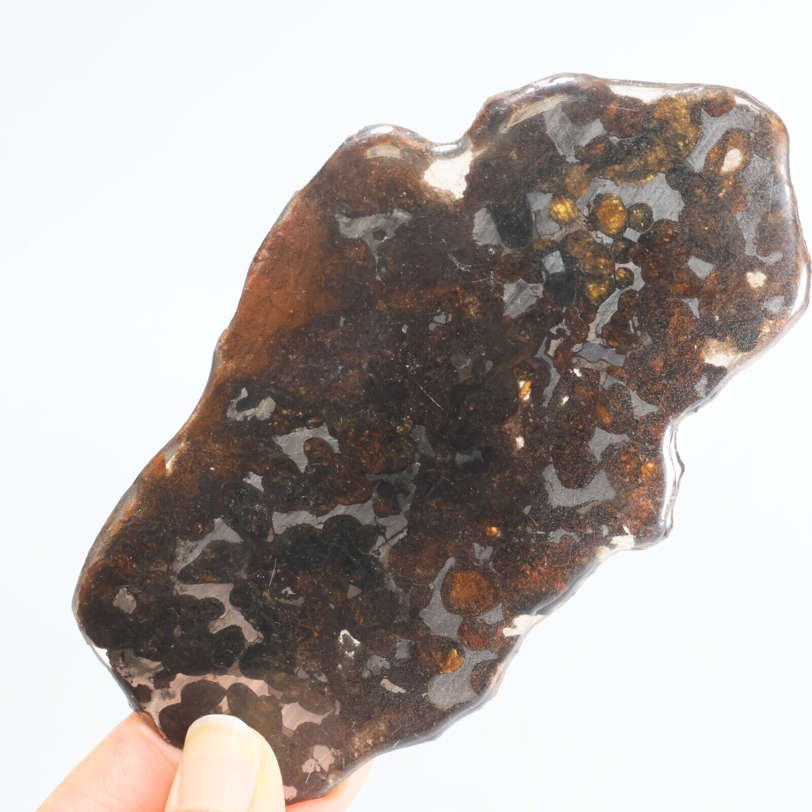 81g Natural SERICHO Pallasite olive meteorite slice - from Kenya F124