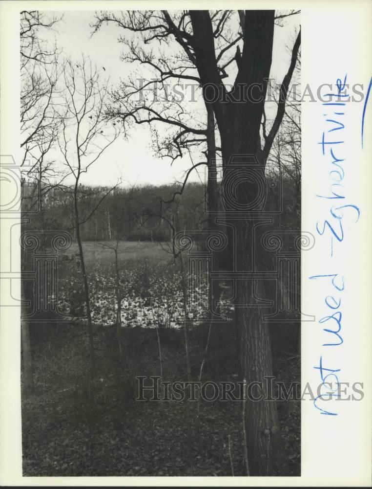1989 Press Photo A Lookout Point at High Rock Park, Egbertville - sia01716