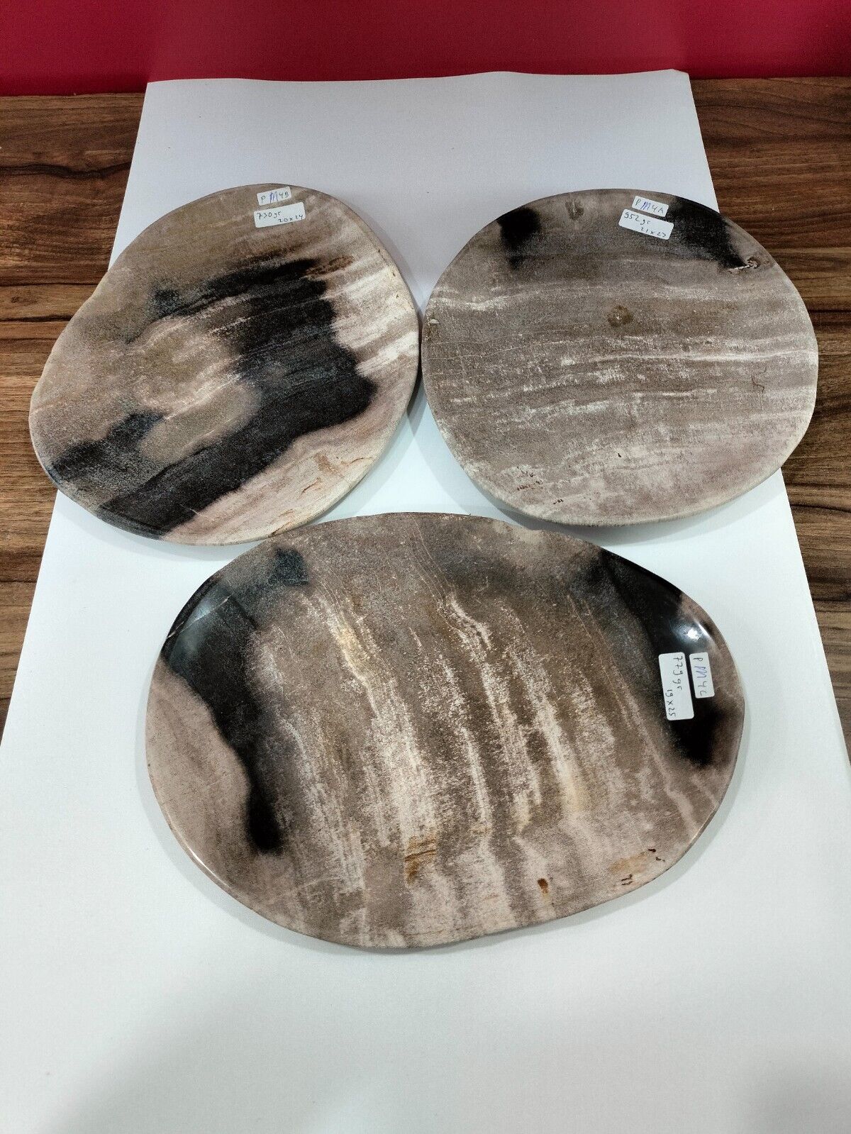 3 Pcs of medium petrified wood plate size around 20x25cm, Total  2461gr  (PM4)