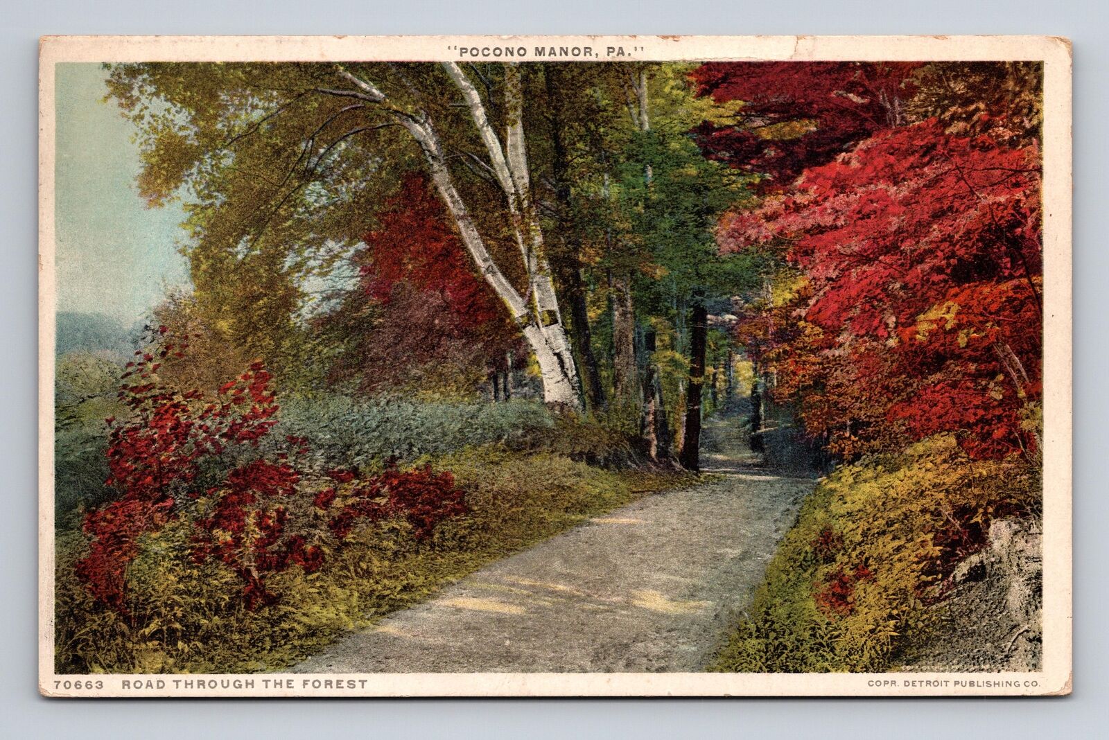 c1920 WB Postcard Pocono Manor PA Pennsylvania Phostint Road Through the Forest