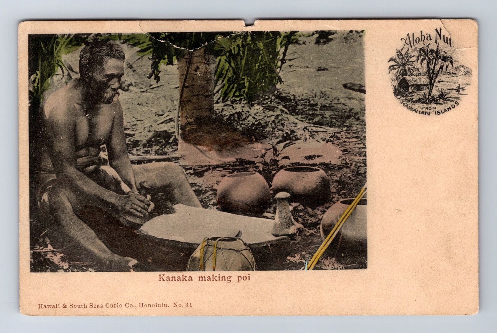 Hawaiian Islands, Kanaka Making Poi, Antique, Souvenir, Vintage Postcard