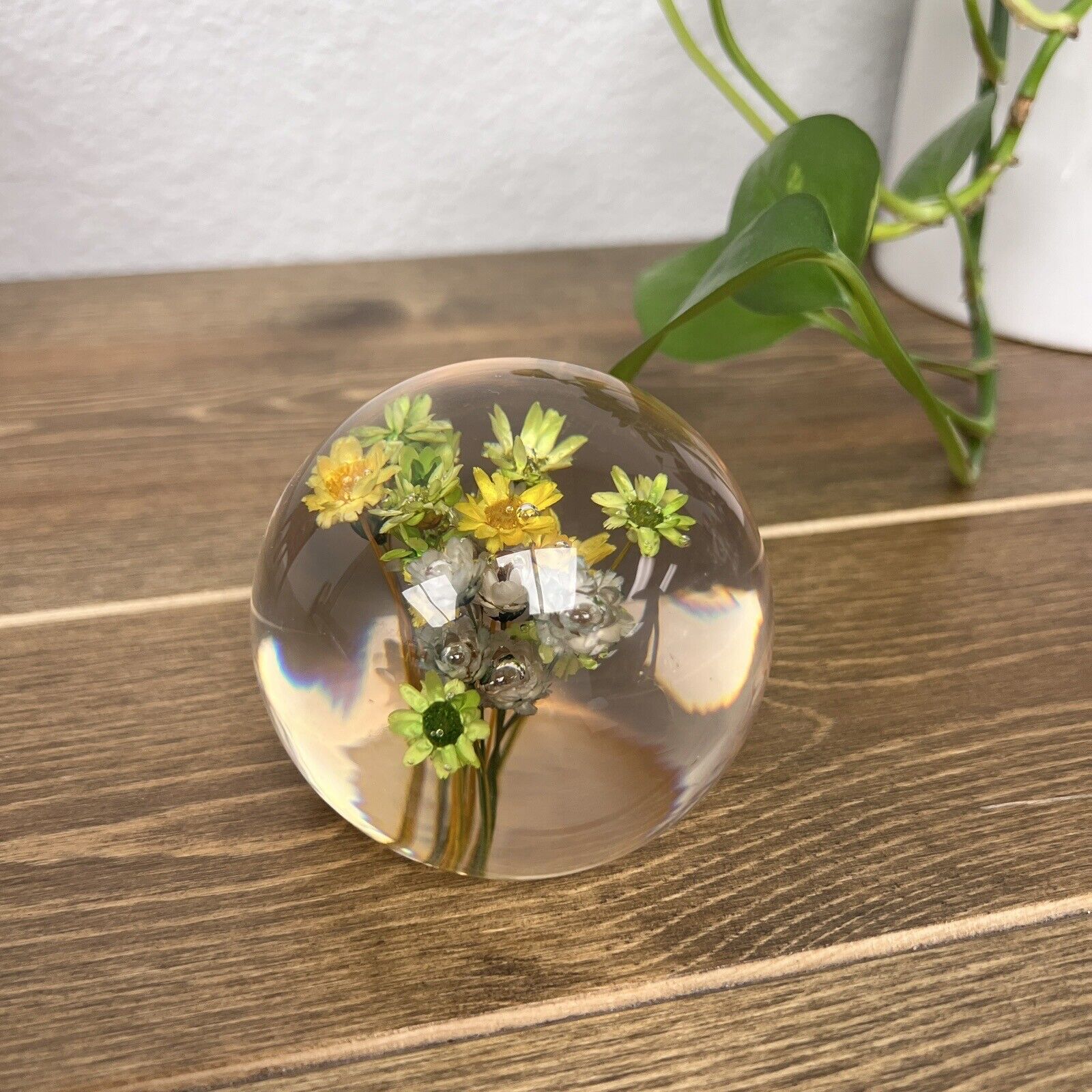 Clear Resin PAPERWEIGHT Sphere Encapsulated Preserved REAL FLOWERS Baby\'s Breath