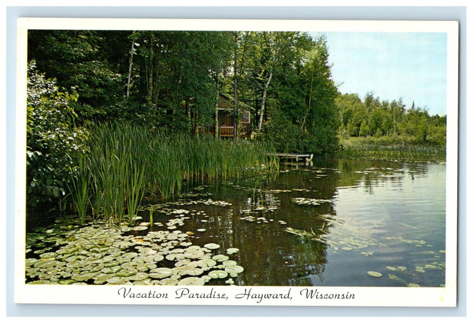 c1960s Water Lilies, Vacation Paradise Hayward Wisconsin WI Postcard