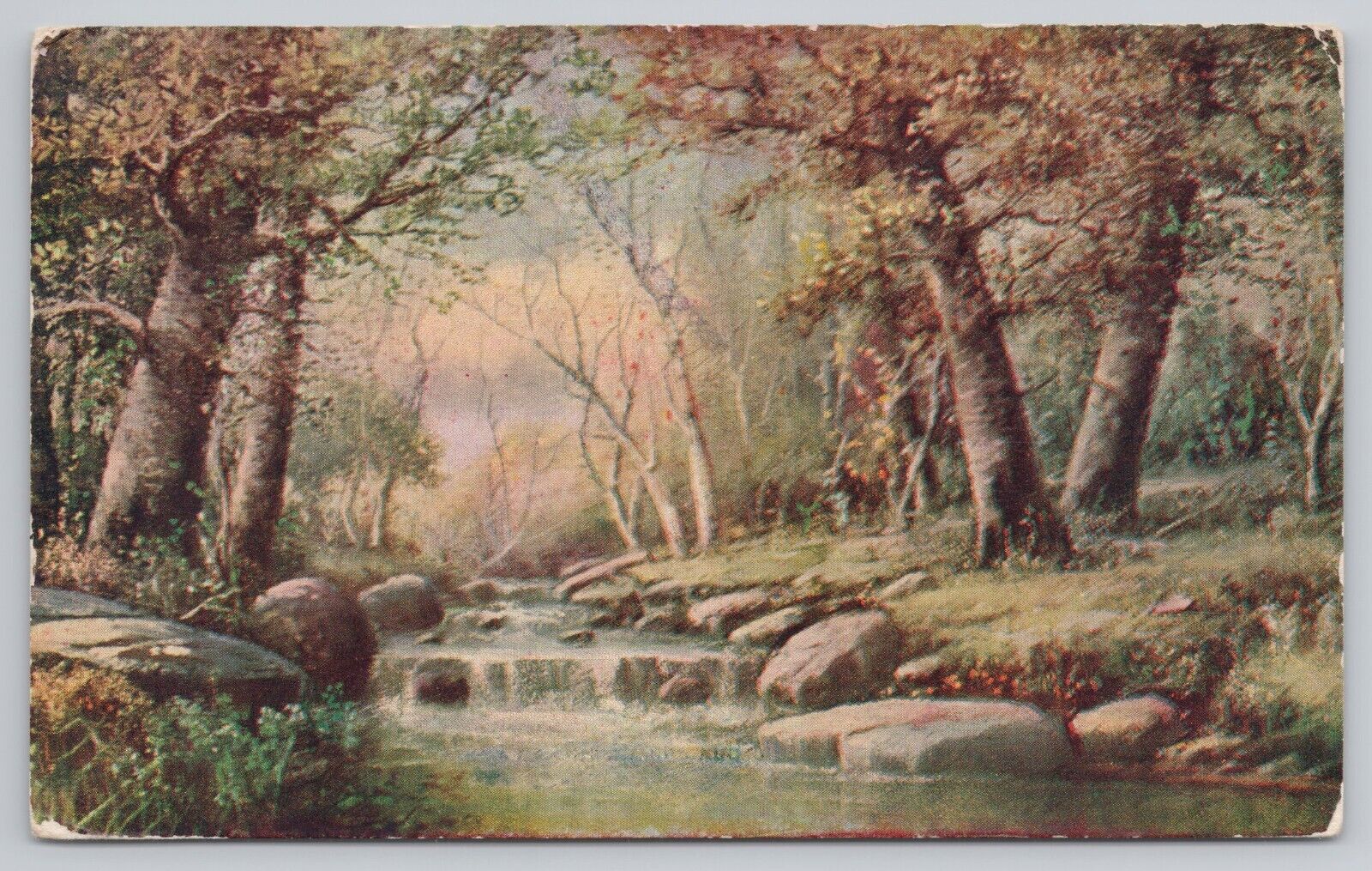 Postcard Forest Scene with Stream and Blossoming Trees, Vintage PM 1909