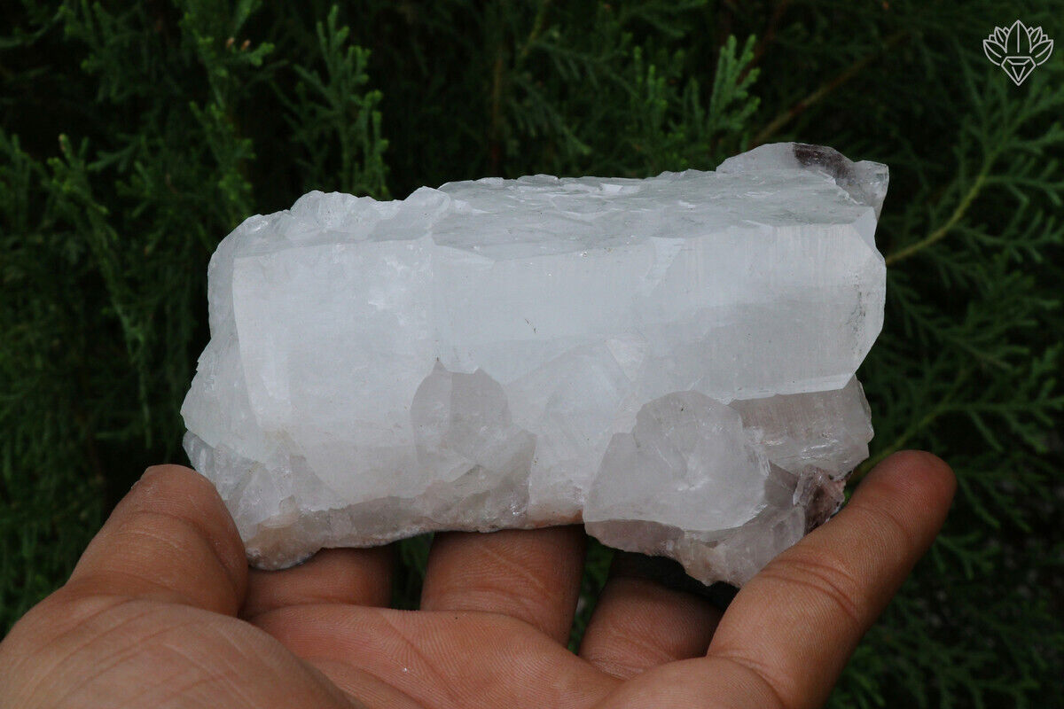 342 gm White Apophyllite Natural Rough Meditation Minerals Specimen
