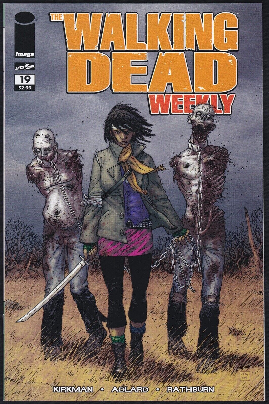 Image Comics WALKING DEAD WEEKLY #19 First Michonne NM