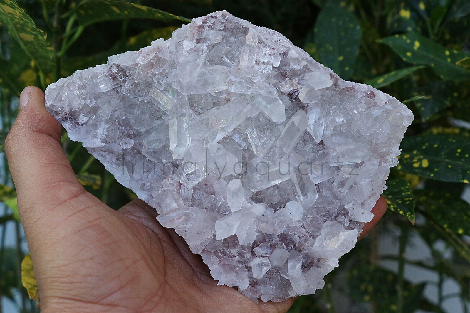 635gm Natural White Quartz Crystal Cluster Rough Specimen Healing Stone