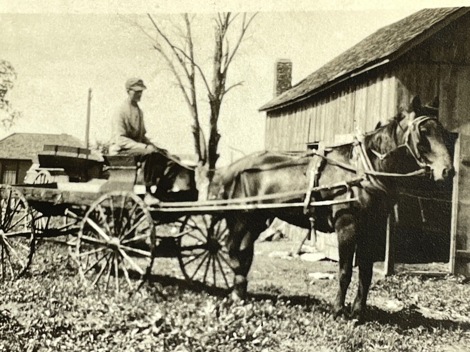 O8 Photograph Artistic Horse And Carriage Barn Farm Country 1910-20's 