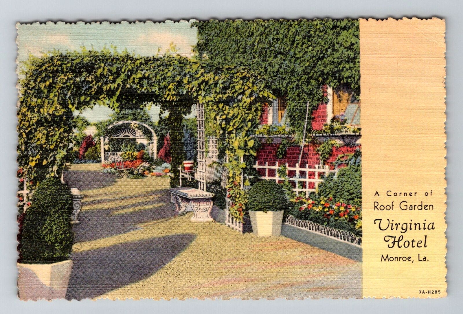 Monroe LA-Louisiana, Roof Garden, Virginia Hotel Vintage c1941 Souvenir Postcard