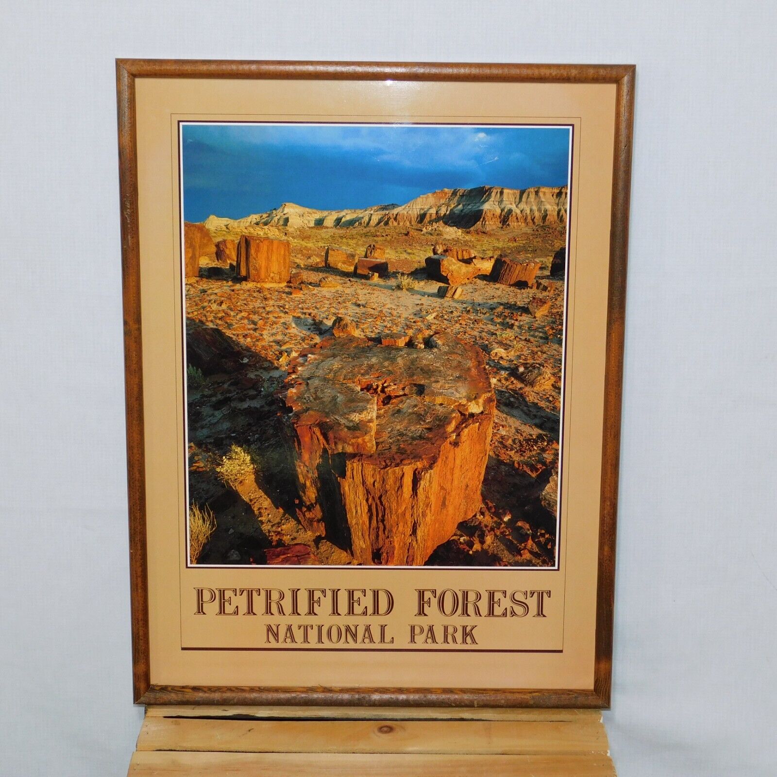 PETRIFIED FOREST NATIONAL PARK Photo Print Poster on Hardboard 25 X 19 Oak Frame