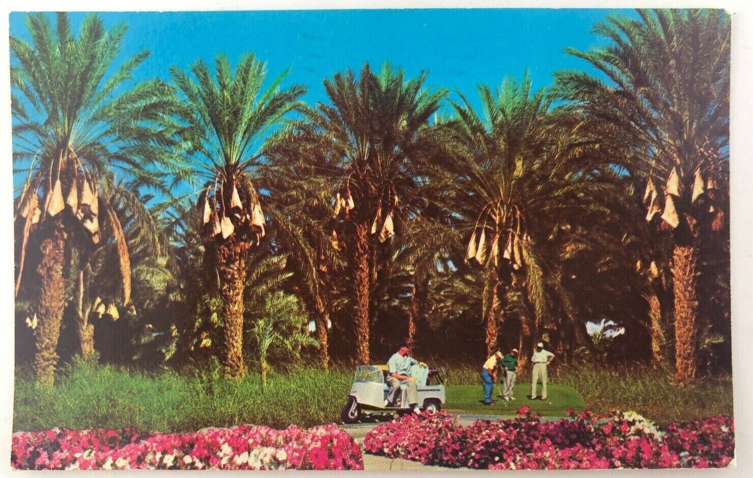 Vintage Indio California CA Picturesque Date Grove Golf Course Postcard 1978