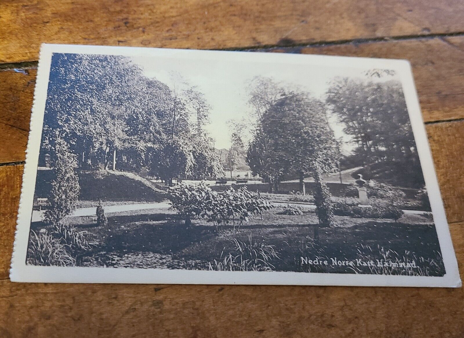 Vintage Unmailed Norre katts park Sweden Postcard Lithograph Photo