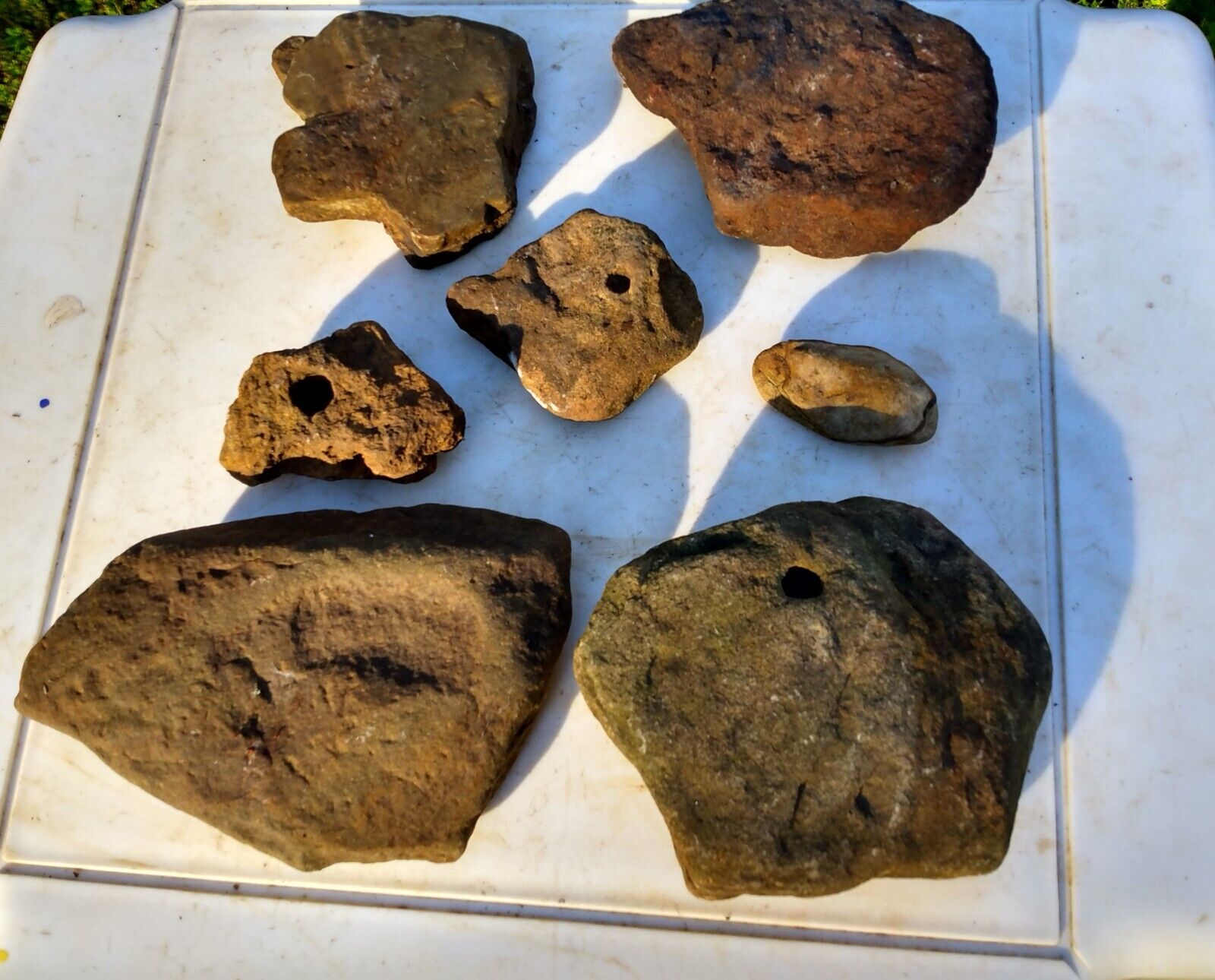 Lot Of Mudfossil Found Arkansas Mississippian Rocks Stone Bird Turtle Mud Fossil
