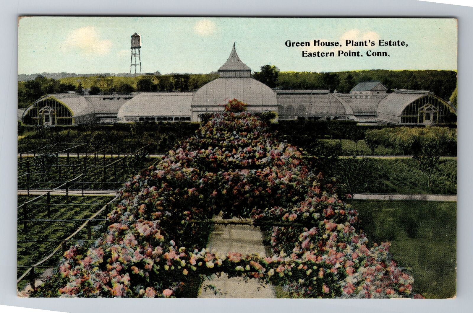 Eastern Point CT-Connecticut, Green House, Plant's Estate, Vintage Postcard