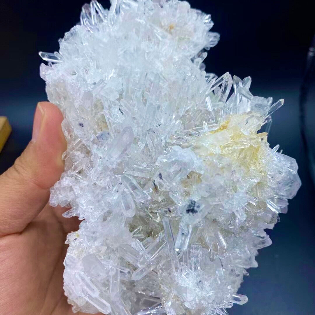 470G Natural White Chrysanthemum Crystal Himalayan Quartz Cluster/Mineral