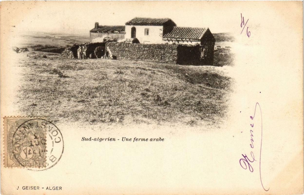 CPA AK ALGERIA Geiser An Arab Farm (769813)