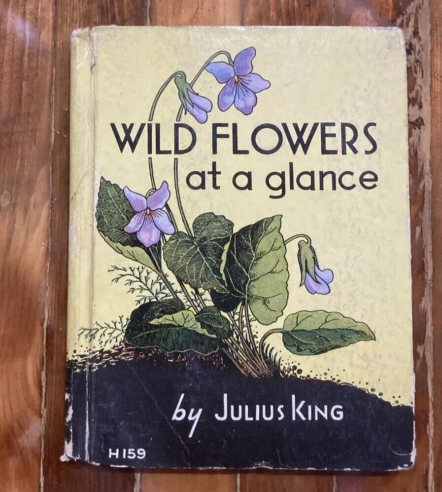 WILDFLOWERS AT A GLANCE ANTIQUE VINTAGE BOOK JULIUS KING HB COLOR ILLUSTRATIONS