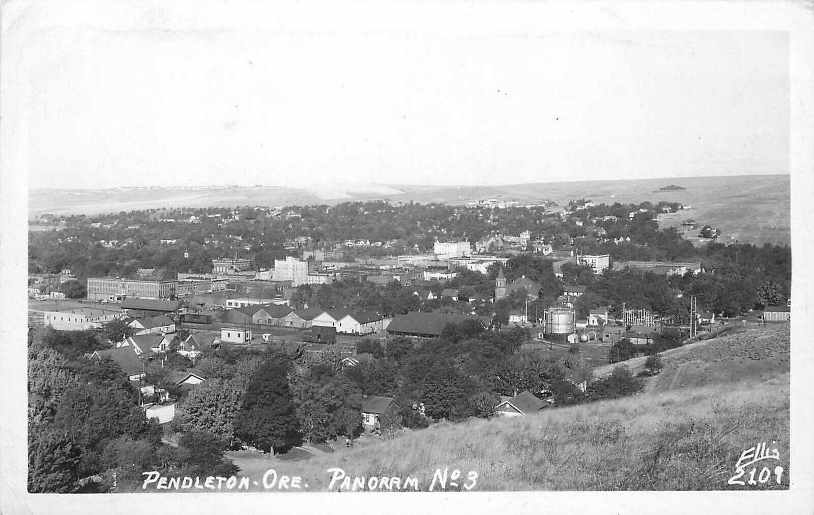 RPPC Postcard Oregon Pendleton Panorama #3 Ellis #2109 23-4604