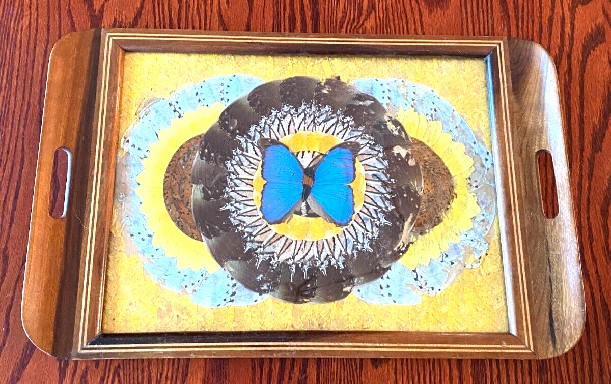 Vintage Brazilian Butterfly Wing Art Tray Inlaid Wood Glass 20 x 13