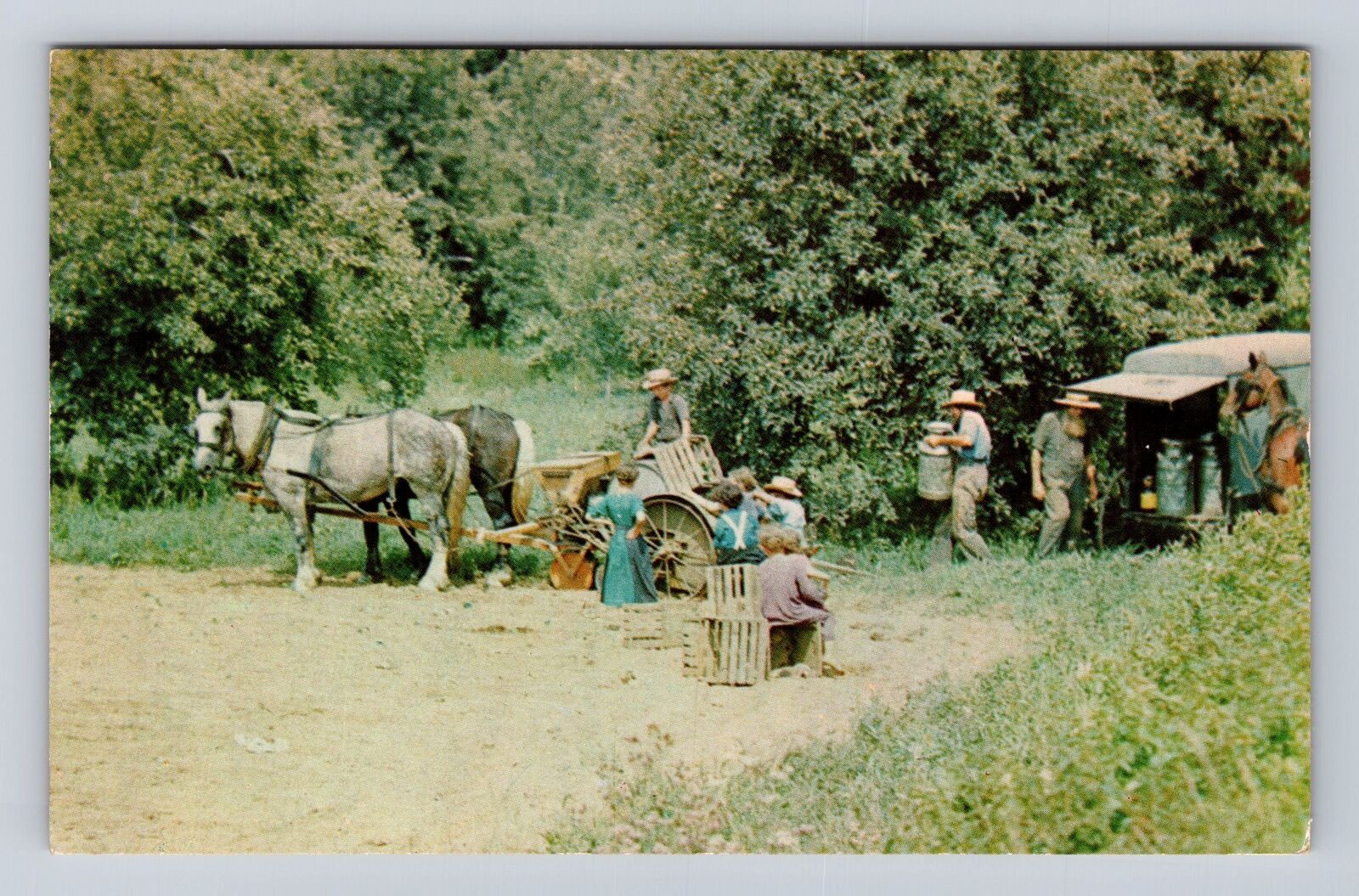 MA-Massachusetts, Family Farming, Amish Family, Antique, Vintage Postcard