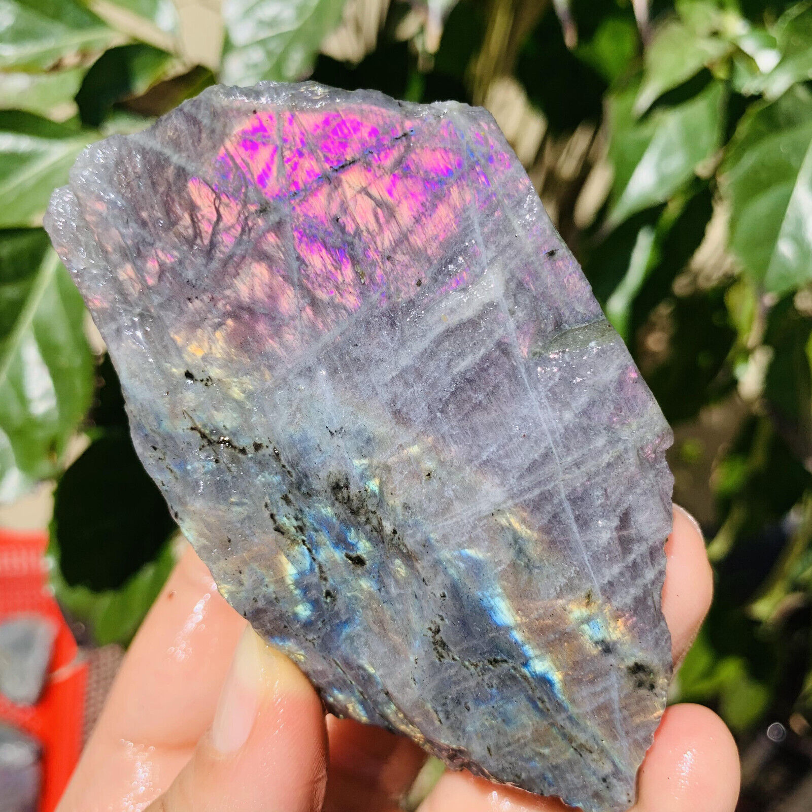 265g Natural crystal Labrador crystal natural rough mineral specimen