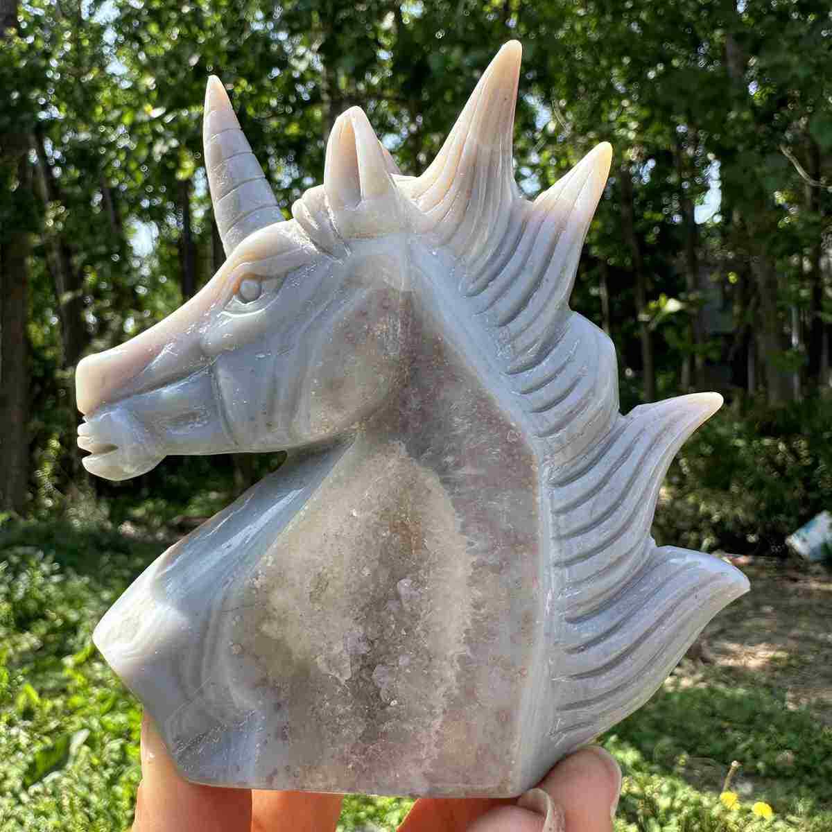 225g Natural Agate Geode Quartz Hand Carved Unicorn Skull Crystal Healing Decor 