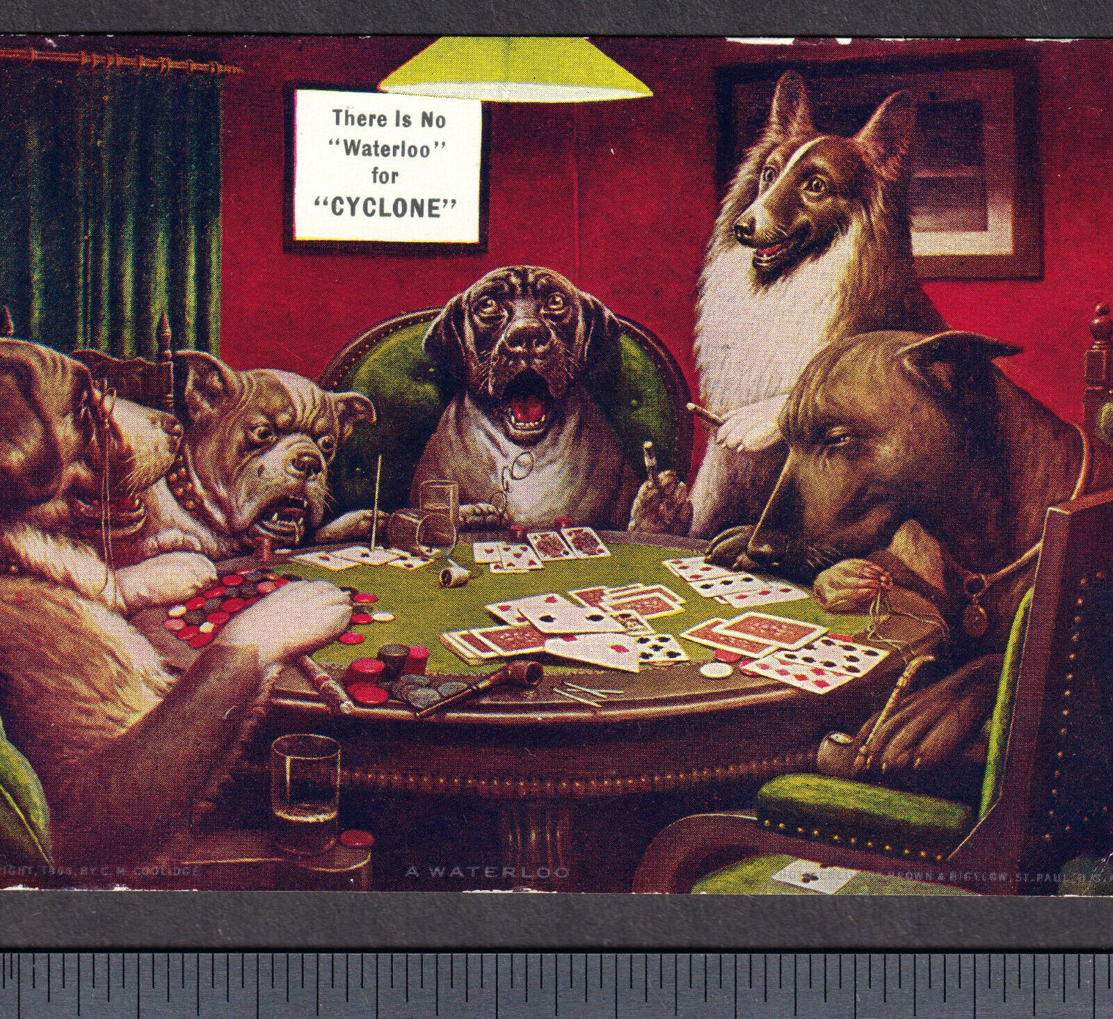 old 1906 Doberman Pinscher Dogs Playing Poker CM Coolidge PostCard Cyclone Fence
