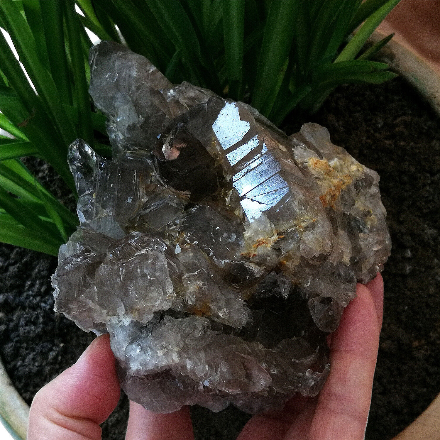 2.24LB Amazing Quartz Specimen Natural Mystical Cutted & Marked By Nature Forces