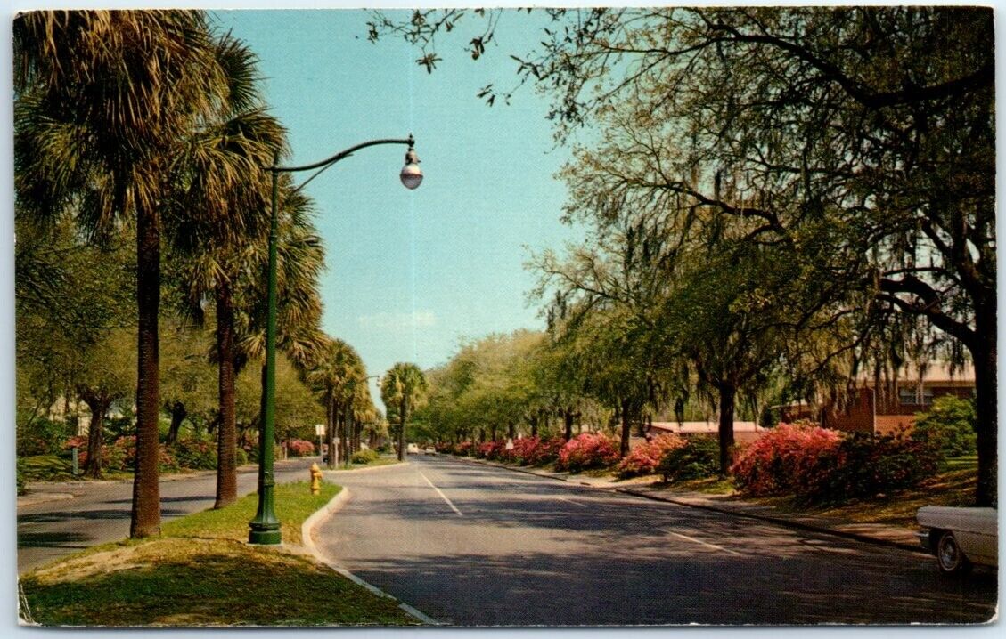 Postcard - Beautiful Victory Drive - Savannah, Georgia